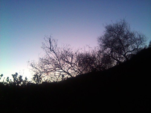 January 2014 sunrise, new year sunrise