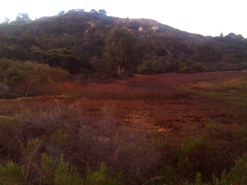 January 2014 sunrise, new year sunrise