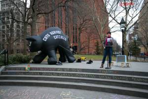 Cats against Catcals. Photocredit Sayfty