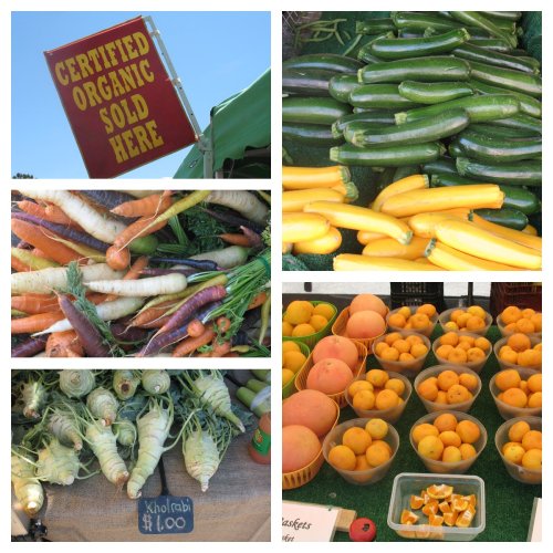 Moldiv_1403232426863