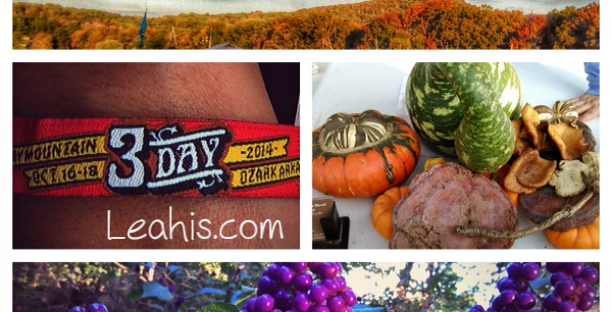 harvest music festival