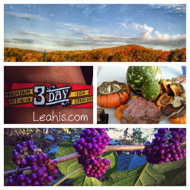 harvest music festival