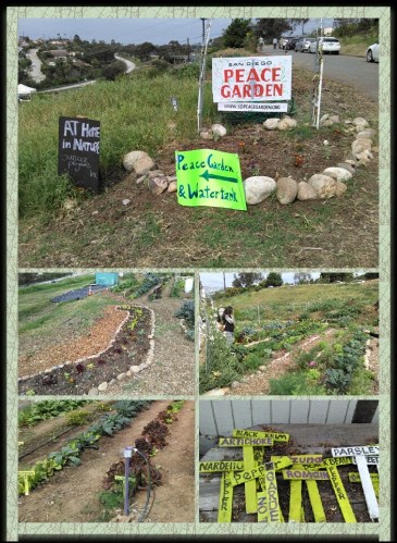 San Diego Peace Garden.